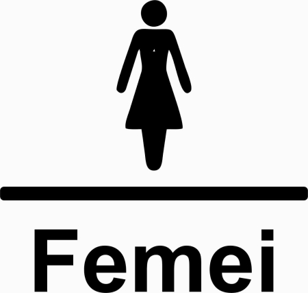 AUTOCOLANTE - AUTOCOLANT TOALETA FEMEI