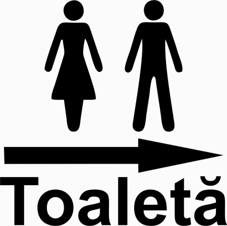 AUTOCOLANTE - AUTOCOLANT TOALETA DREAPTA