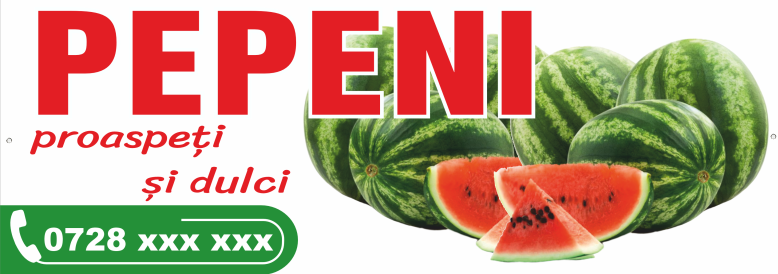 Banner print digital Pepeni [1]