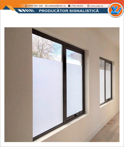 Decor Geamuri - Folie geam decorativă model Unic