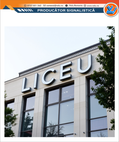 Litere Volumetrice Iluminate LED - personalizat Liceu [1]