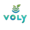 Voly
