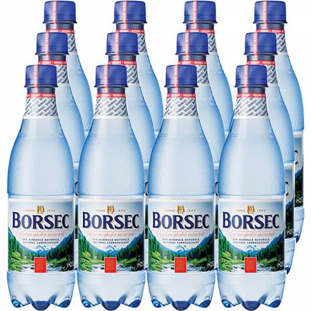 Produse de baza - Apa Minerala Carbogazoasa, 0.5 l x 12 buc, Borsec