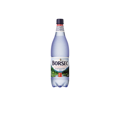 Bauturi - Apa minerala carbogazoasa SGR 1 L, Borsec