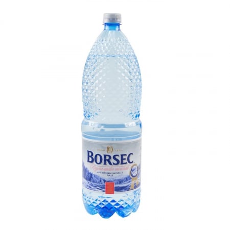 Produse de baza - Apa Plata Borsec, 6x2l