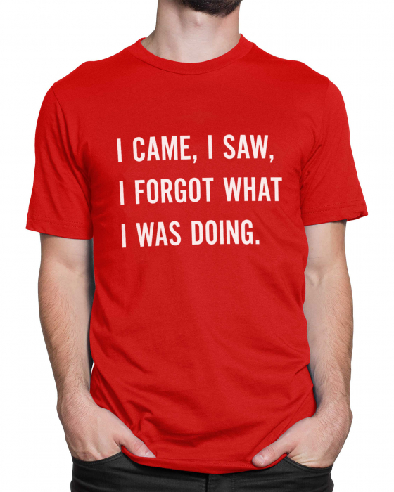 Tricou Barbat I saw, I Forgot [2]