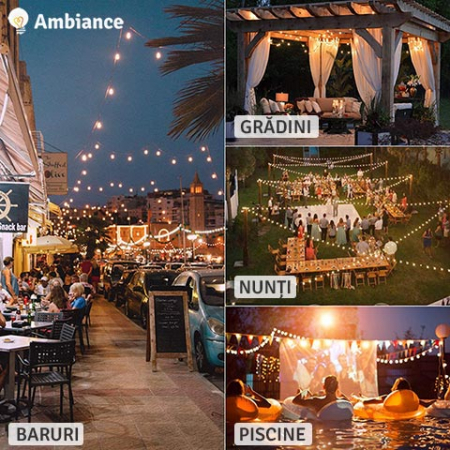 Ghirlanda Luminoasa AMBIANCE [11]