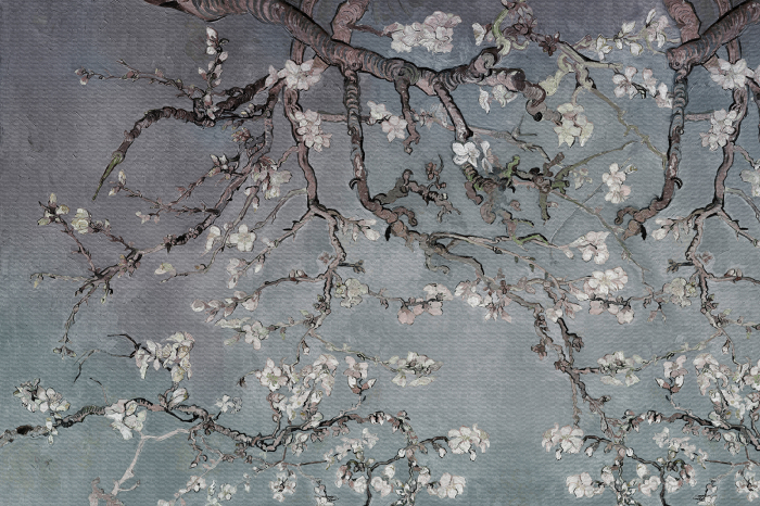 Cherry Blossom-034 [3]