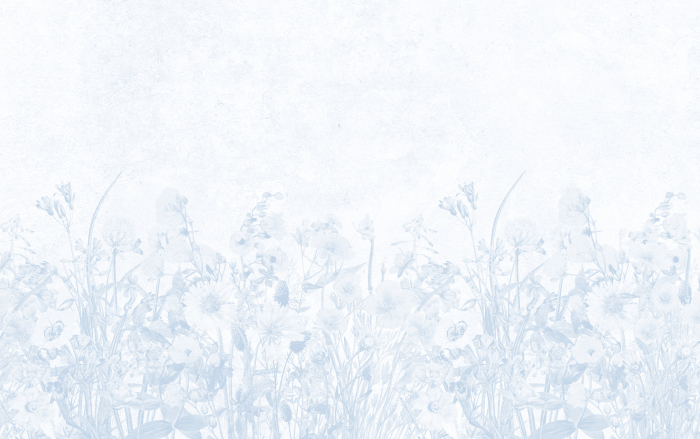 Tapet A Dream of Spring [3]