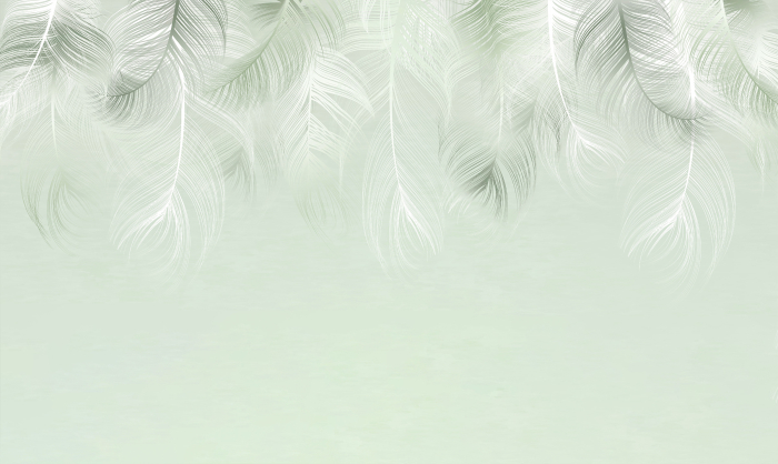 Tapet Decorative Feathers [3]