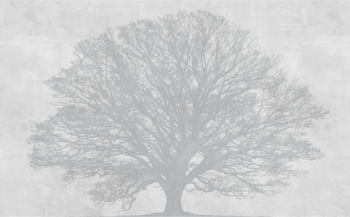 Tapet Lonely Tree [3]