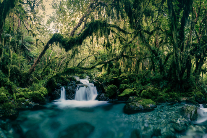 Tapet Moss Waterfall [3]