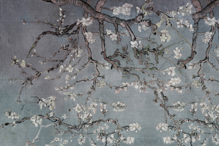 Cherry Blossom-034 [2]