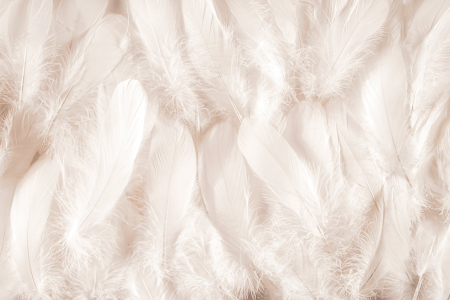 Tapet Angelic Feathers [2]