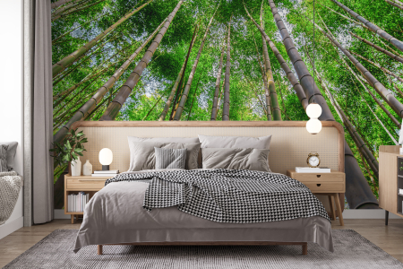 Tapet Bamboo Trees [1]