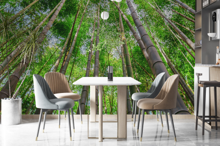 Colectii de tapete - Tapet Bamboo Trees