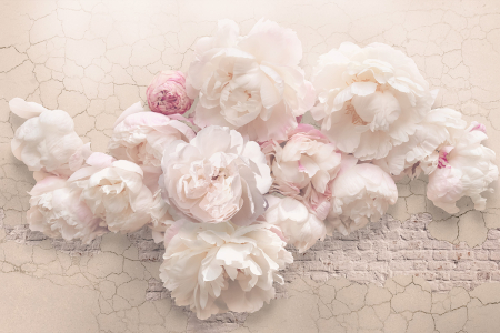 Tapet Bujori Peony Wall [2]