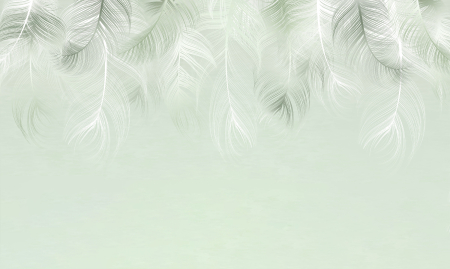 Tapet Decorative Feathers [2]