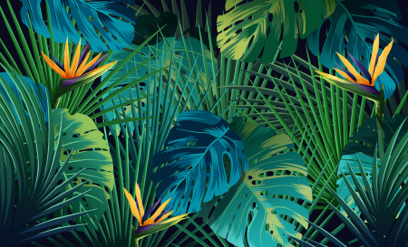 Tapet Jungle [2]
