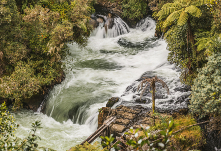 Tapet Kaituna River [2]