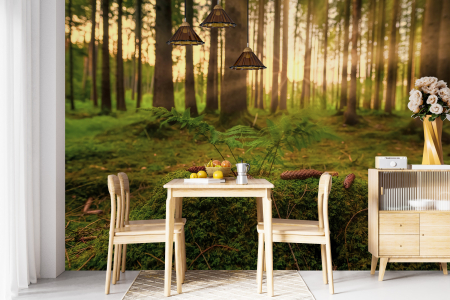 Tapet Sunny Forest [1]