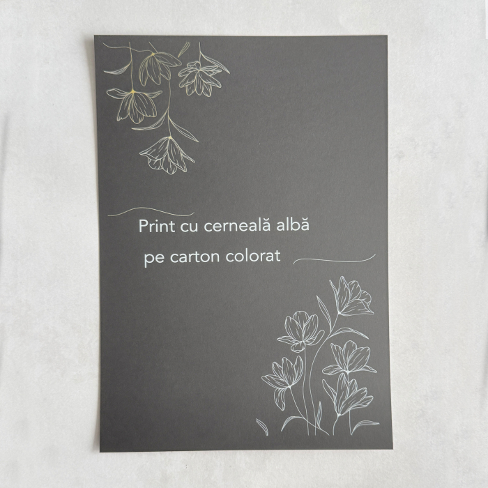 Printare cu cerneala alba pe carton colorat – WedDesign Print Shop Sibiu [1]