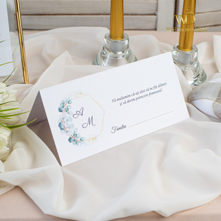 Plicuri de bani/ Placecard-uri - Plic de bani Emerald