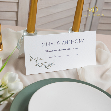 Plicuri de bani/ Placecard-uri - Plic de bani pentru nunta Delicate Green