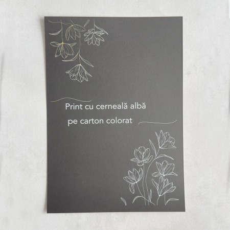 SERVICII IMPRIMARE - Printare cu cerneala alba pe carton colorat – WedDesign Print Shop Sibiu