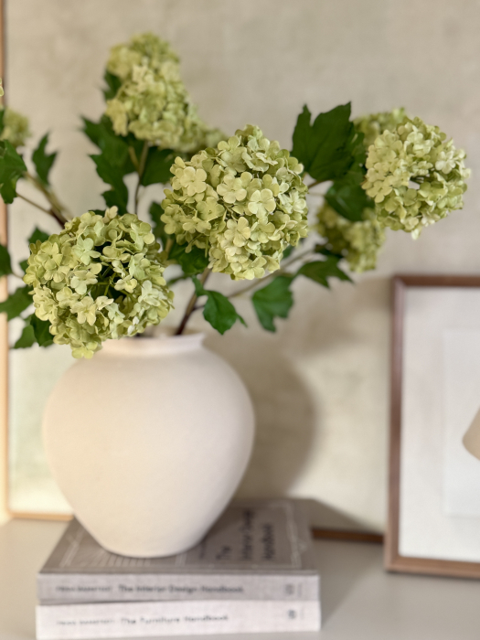 Green Viburnum [3]