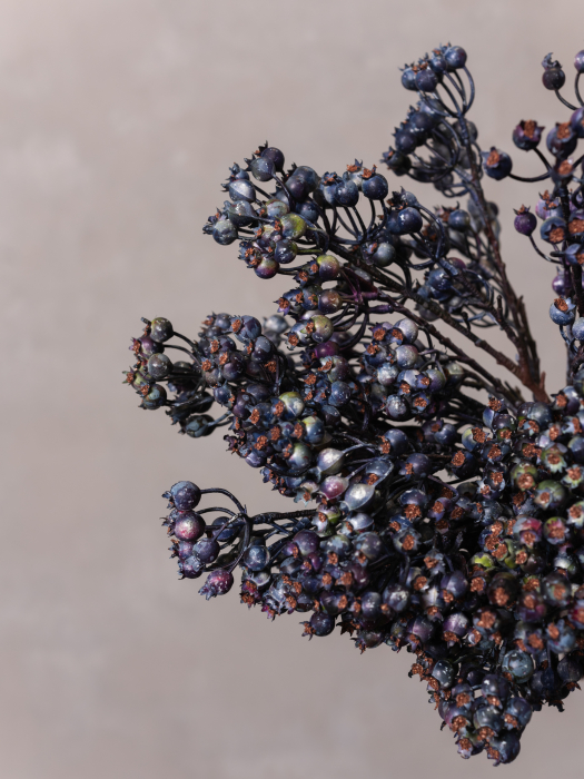Blue Berries [4]