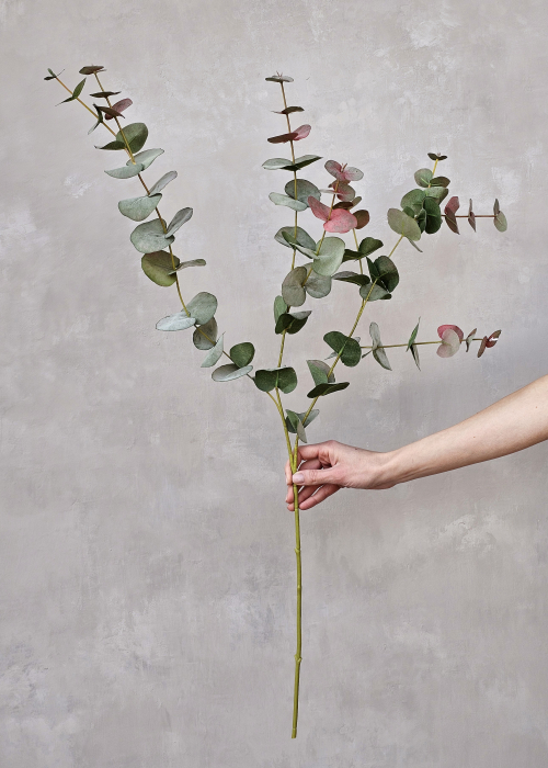Blush Eucalyptus Artificial [4]