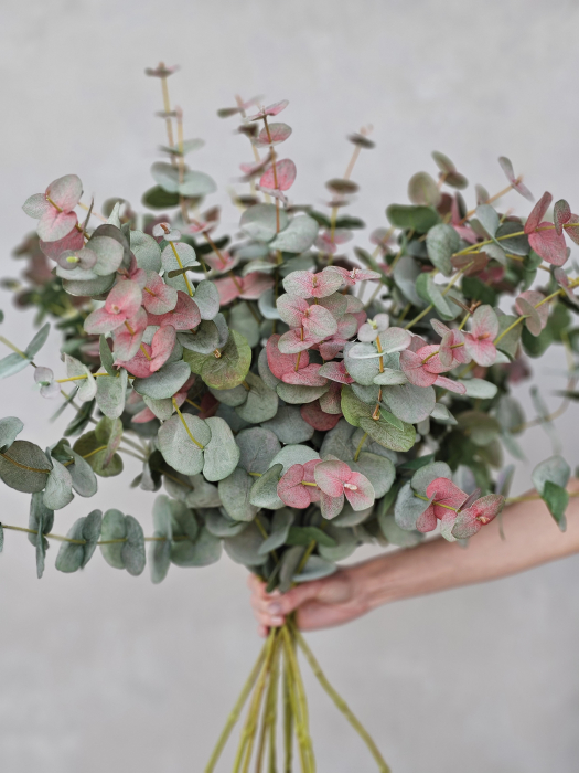 Blush Eucalyptus Artificial [3]
