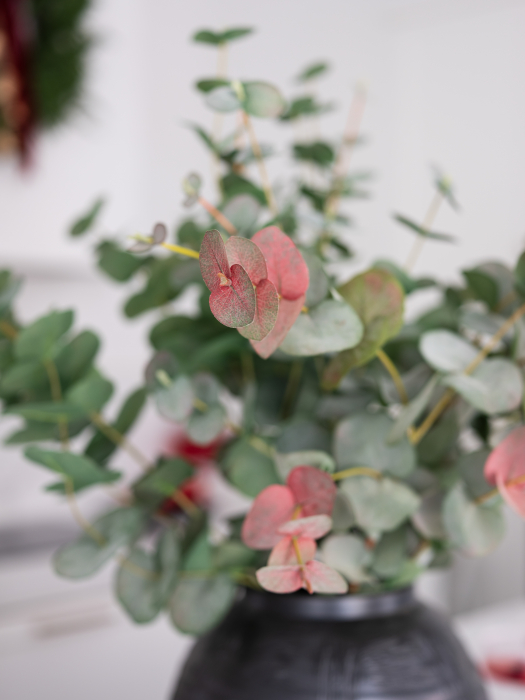 Blush Eucalyptus Artificial [2]