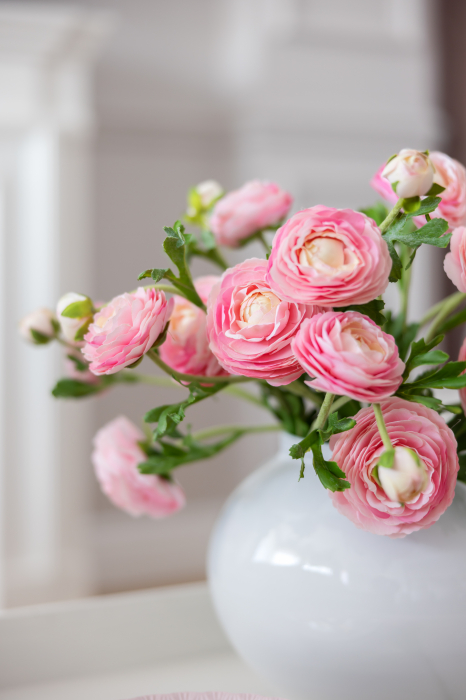 Blush Garden [2]