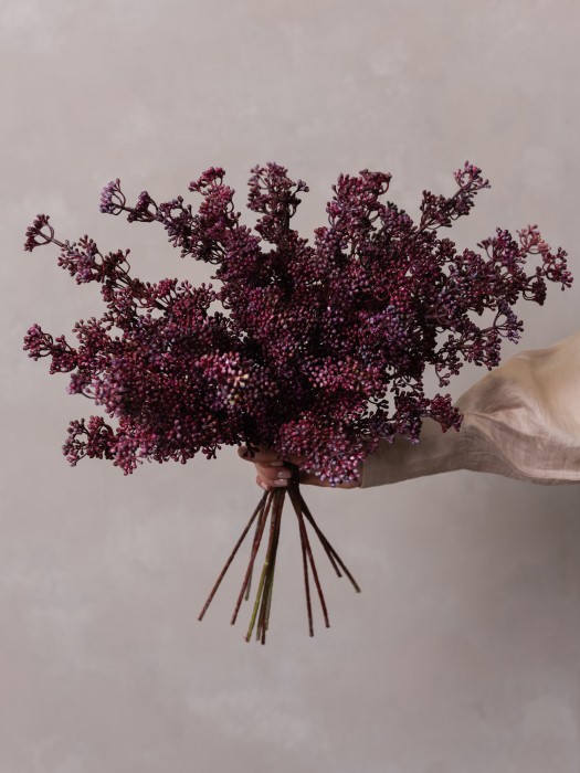 Burgundy Berries [3]