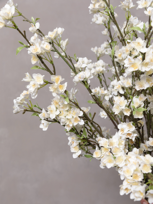 Cherry Blossom [5]