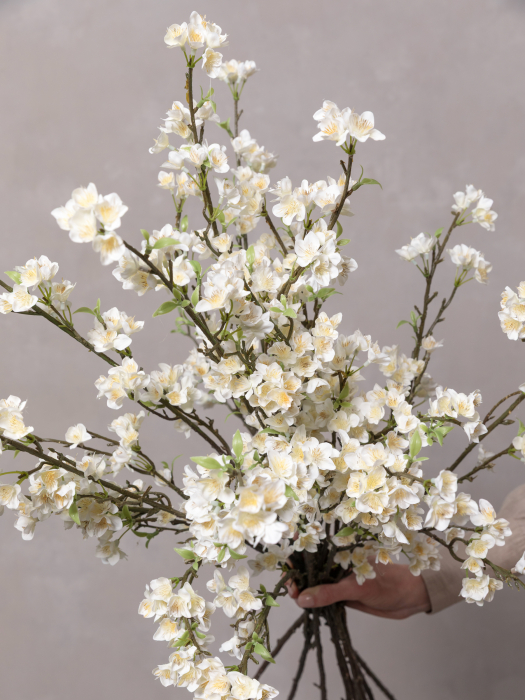 Cherry Blossom [1]