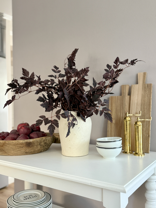 Cimicifuga Artificiala [1]