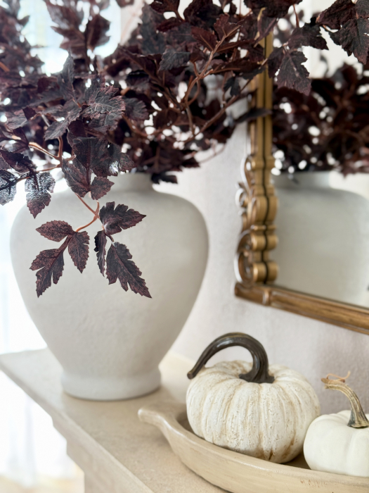 Cimicifuga Artificiala [7]