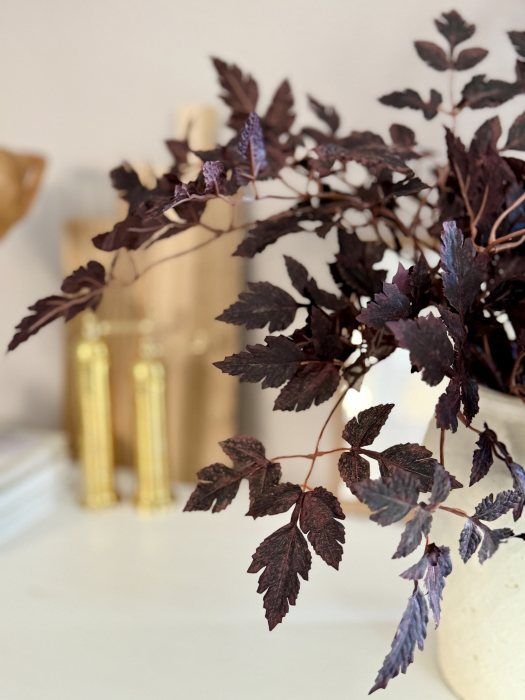 Cimicifuga Artificiala [2]