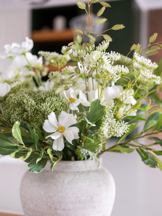Cosmos Flower alba [6]