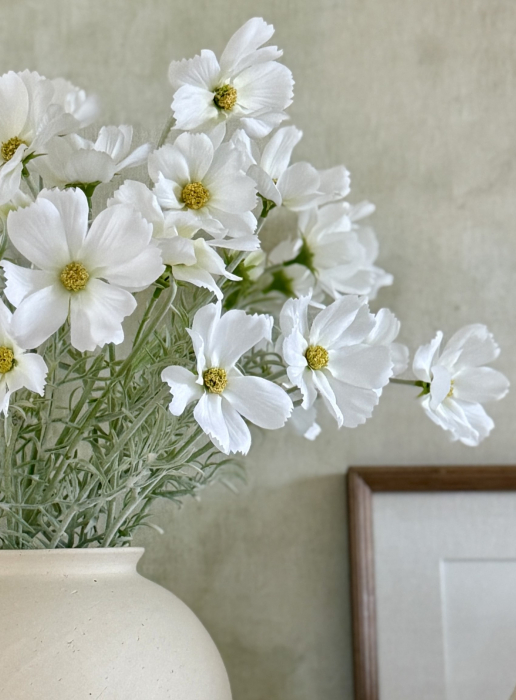 Cosmos Flower albă [2]