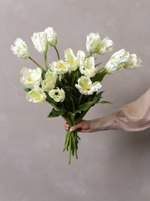 White Parrot Tulip [3]