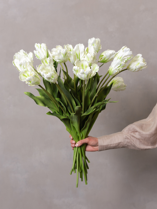 White Parrot Tulip [2]