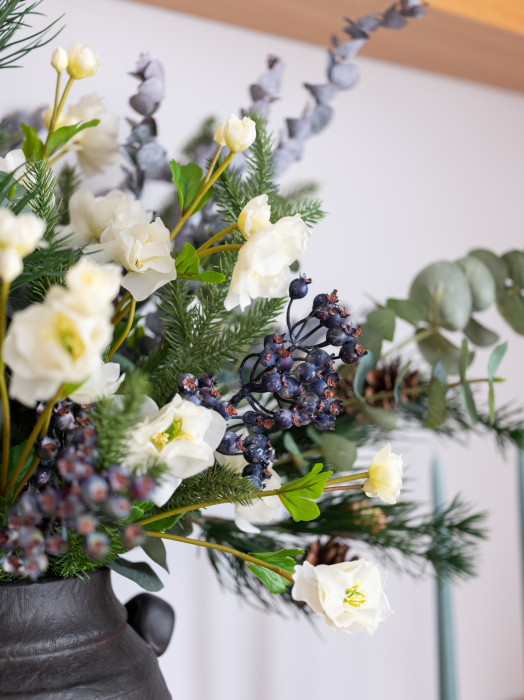 Helleborus [5]