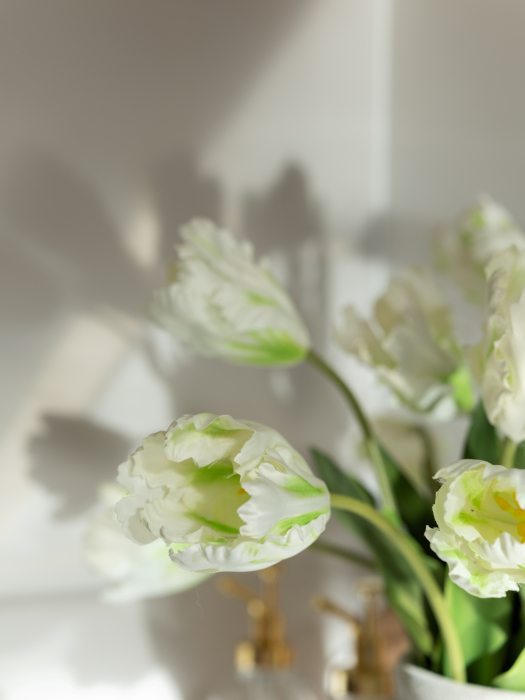 White Parrot Tulip [6]