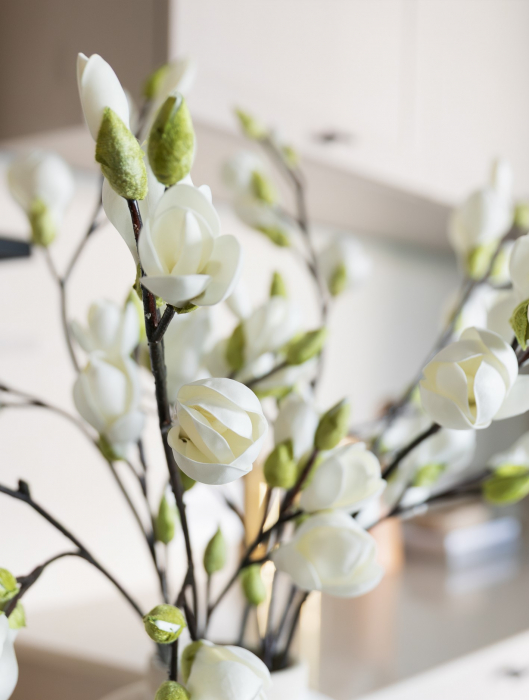 Magnolia [2]