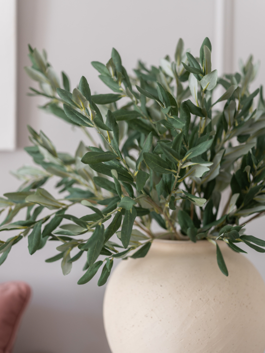 Olive [2]