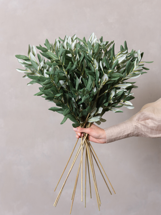 Olive [3]